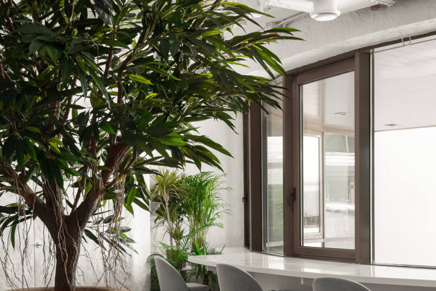 Все пространство