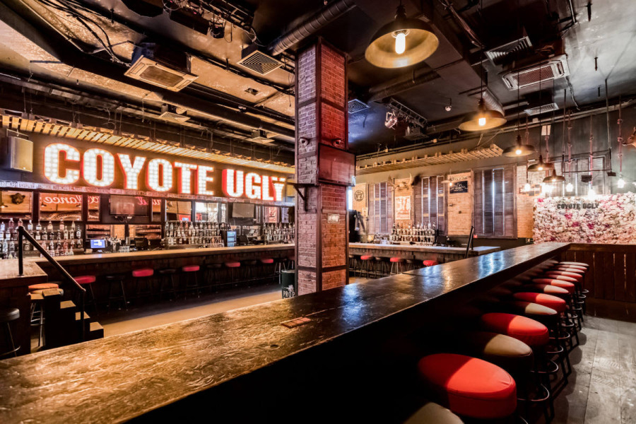 Клуб Гадкий Койот