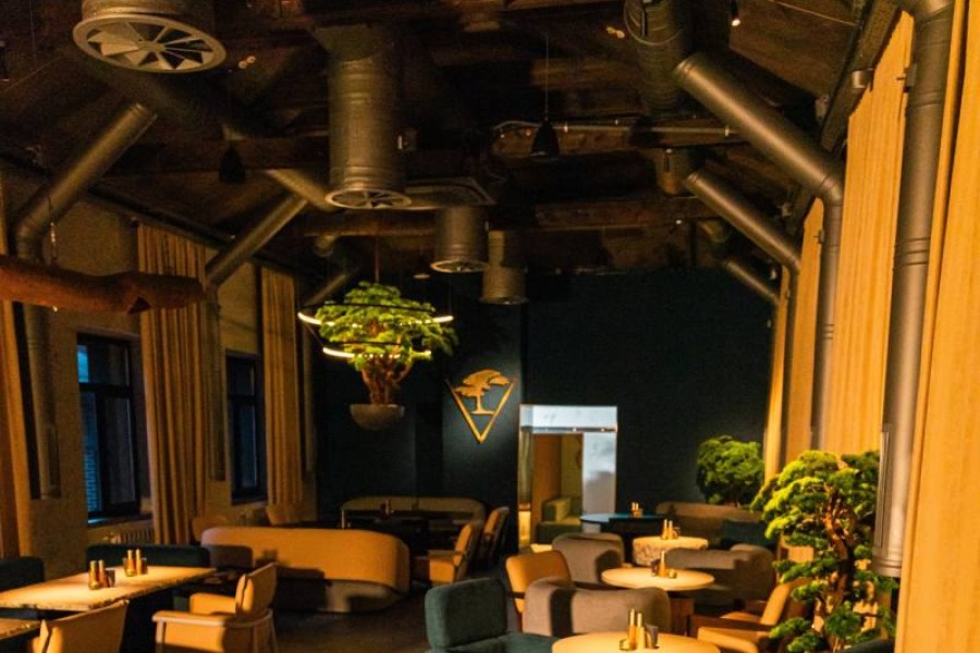 Veches | Динамо