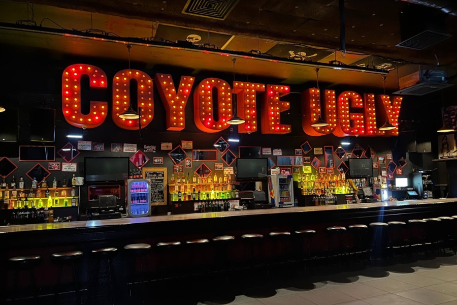 Бар Гадкий Койот