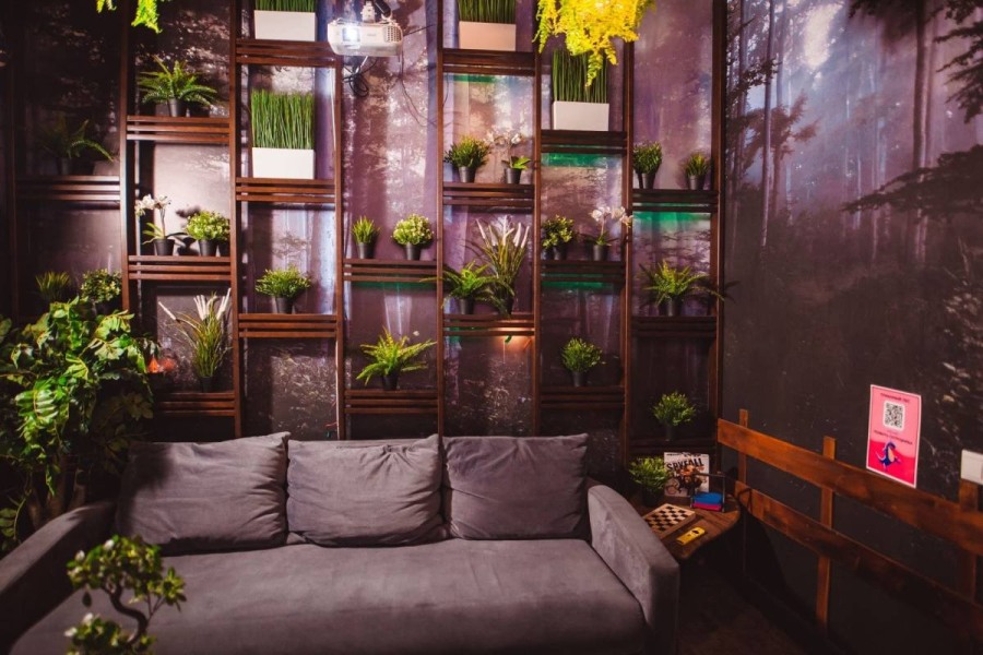 Туманный лес